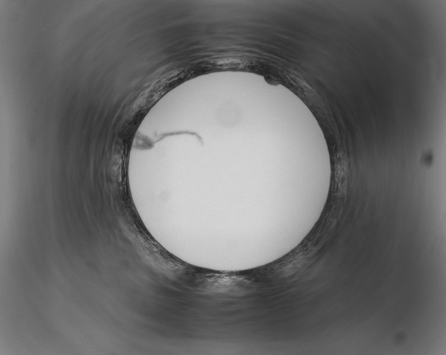 X0000115720379200912031556