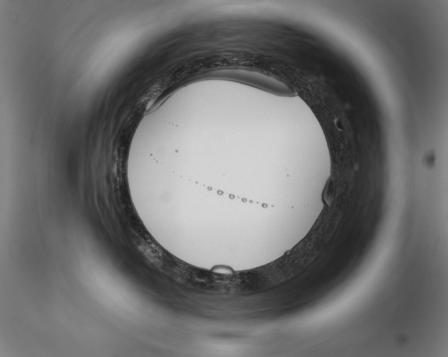 X0000115720382200912031556