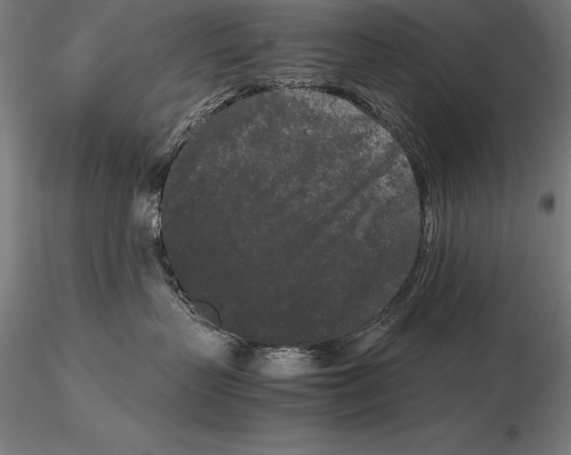 X0000115720383200912031556