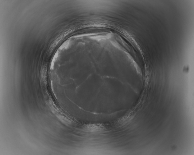 X0000115720386200912031555