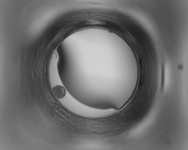 X0000115720387200912031555