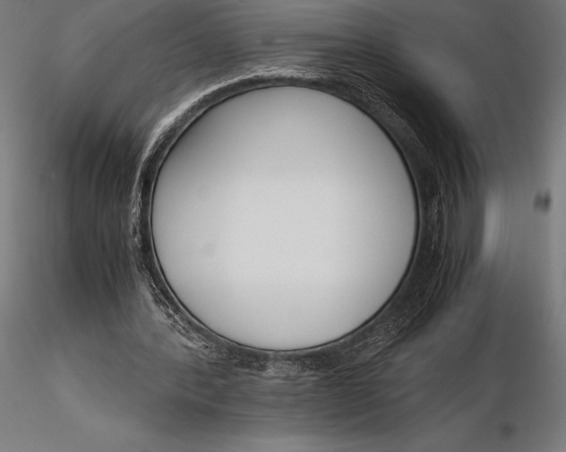X0000115720388200912031555
