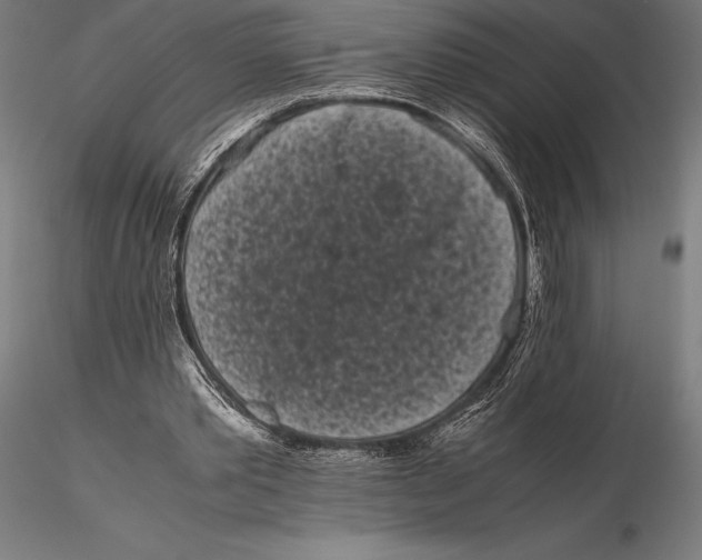 X0000115720389200912031555