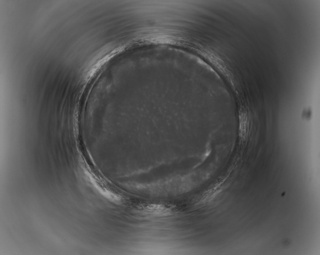 X0000115720390200912031555