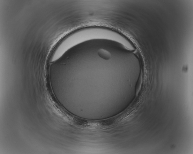 X0000115720391200912031555