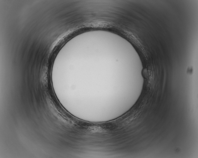 X0000115720392200912031555