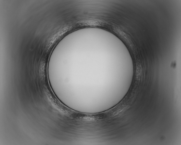 X0000115720394200912031555