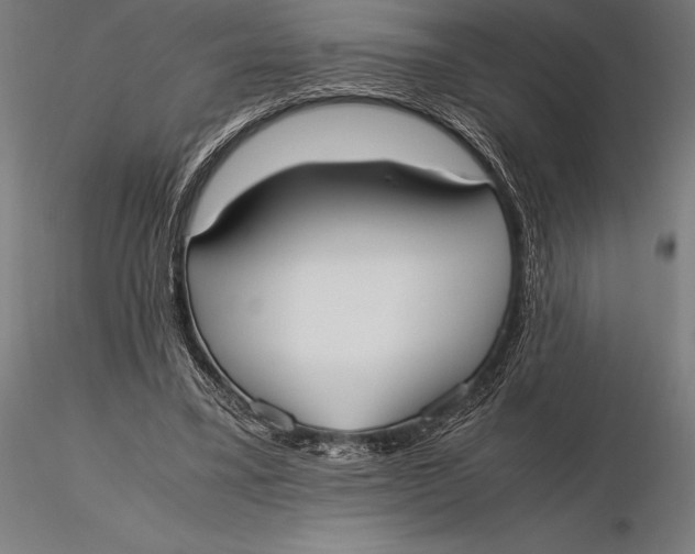 X0000115720395200912031555