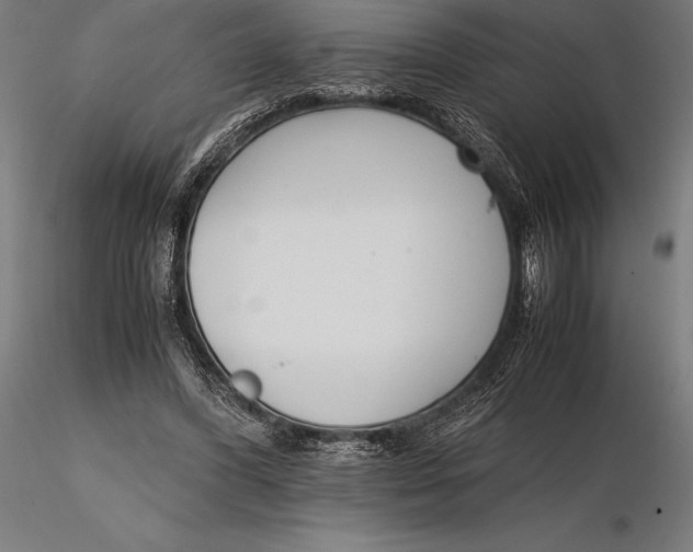 X0000115720396200912031555