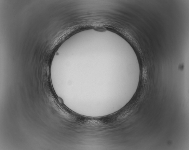 X0000115720397200912031555
