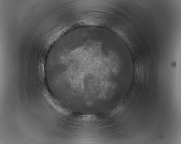 X0000115720398200912031555