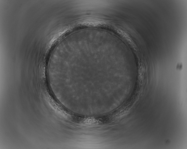 X0000115720399200912031555