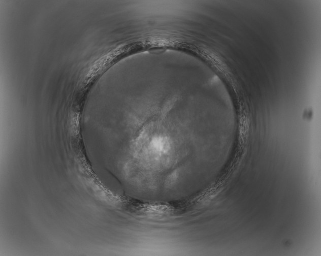 X0000115720401200912031555