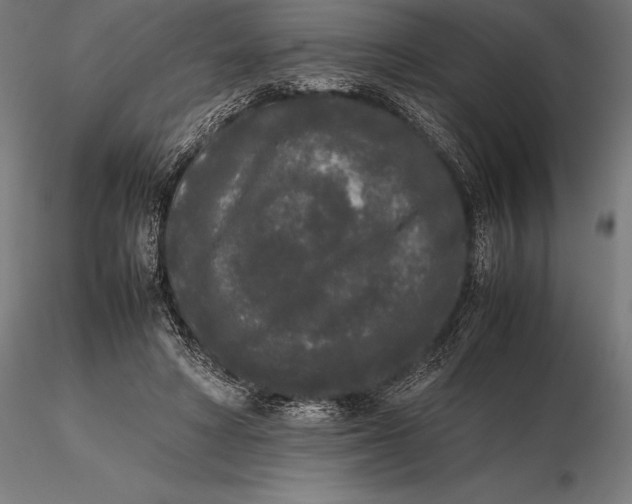 X0000115720402200912031555