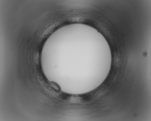 X0000115720403200912031555