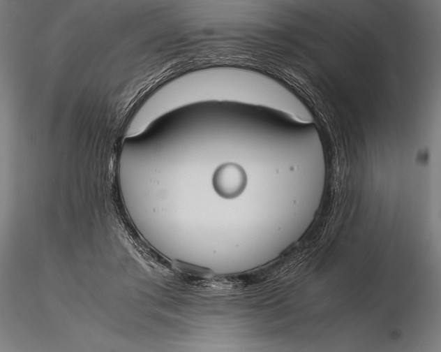 X0000115720405200912031555