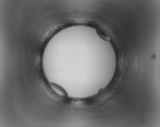 X0000115720407200912031555