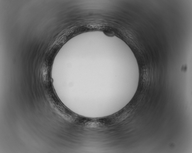 X0000115720408200912031555