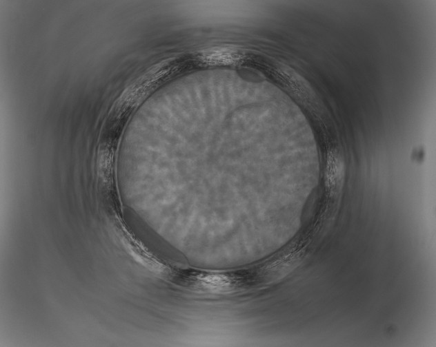 X0000115720409200912031555