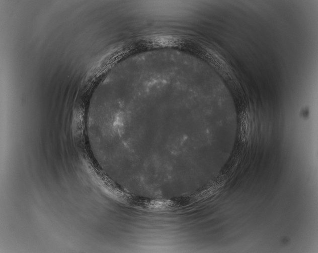 X0000115720410200912031555