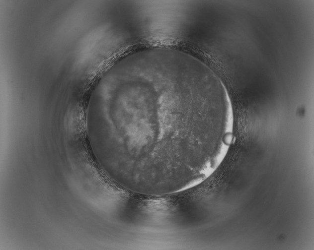 X0000115720411200912031555