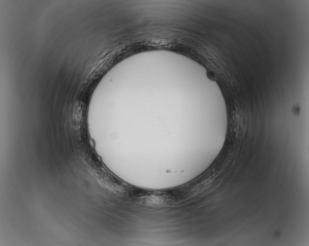 X0000115720412200912031555