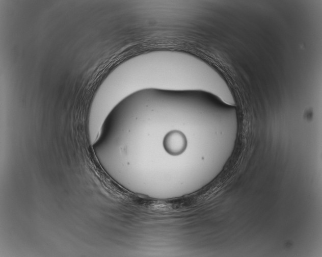 X0000115720413200912031555