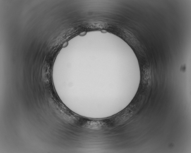 X0000115720414200912031555