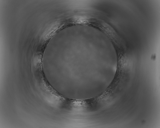 X0000115720415200912031555