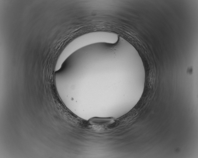 X0000115720417200912031555