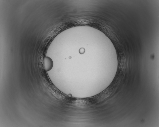 X0000115720418200912031555
