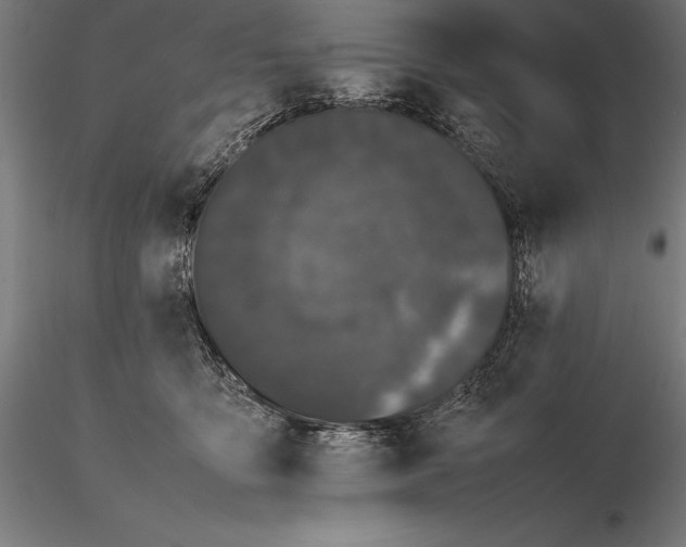 X0000115720419200912031555