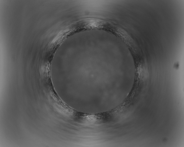 X0000115720423200912031555
