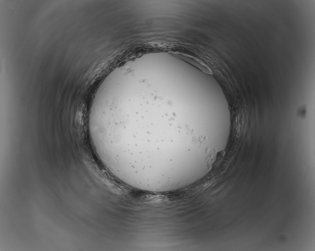 X0000115720424200912031555