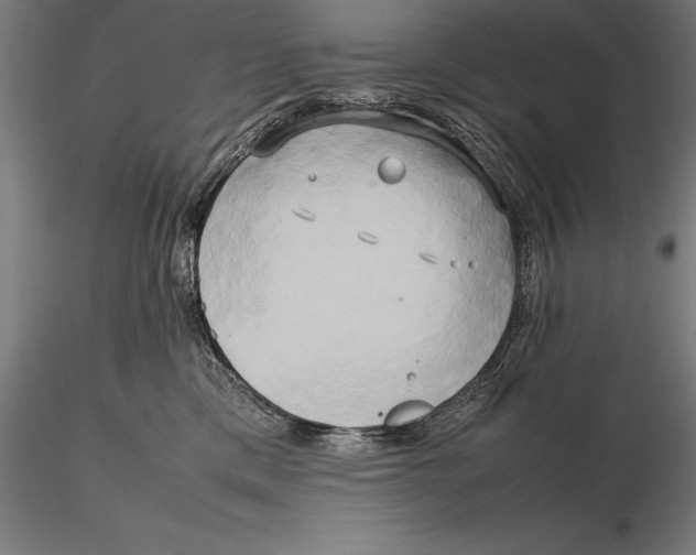 X0000115720425200912031555
