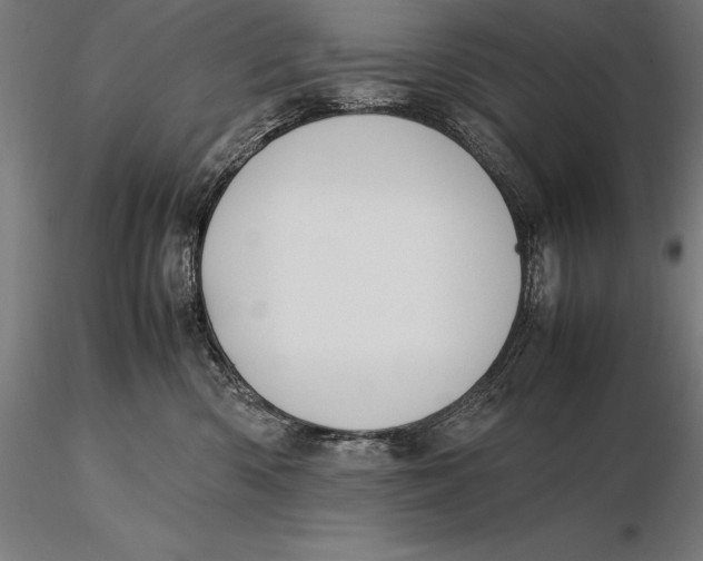 X0000115720426200912031555