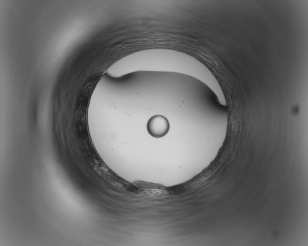 X0000115720429200912031555