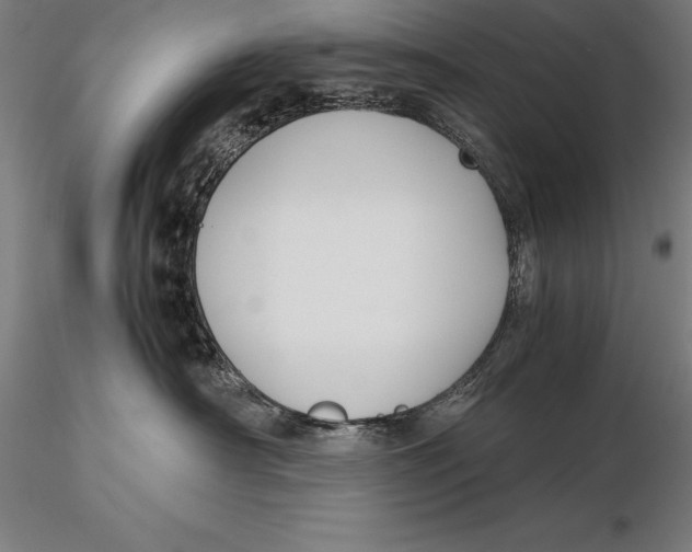 X0000115720430200912031555