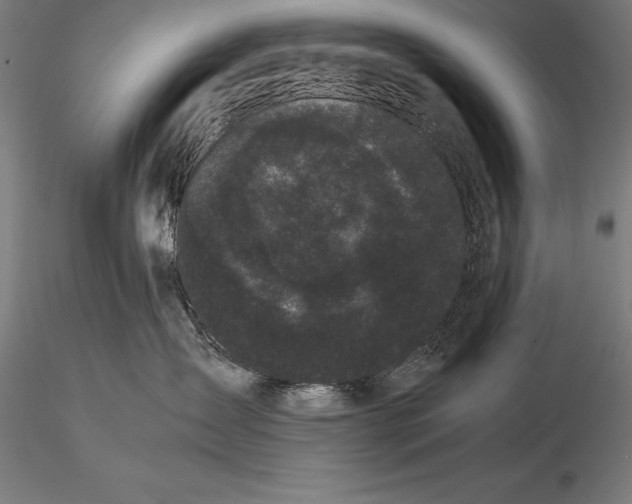 X0000115720431200912031555