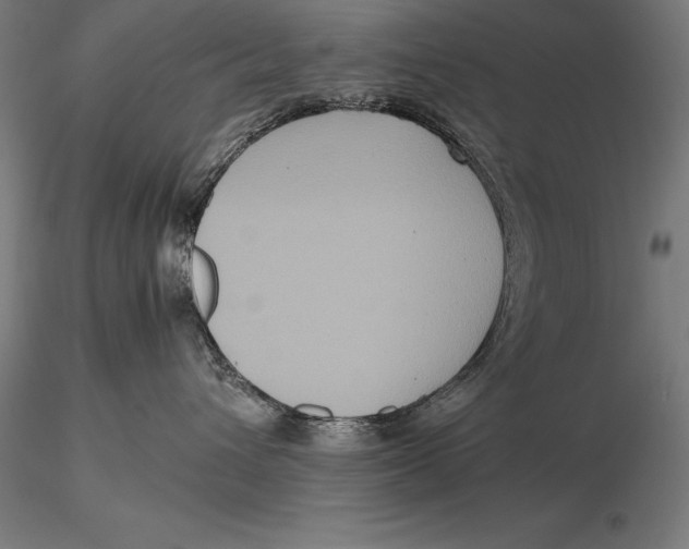 X0000115720432200912031555