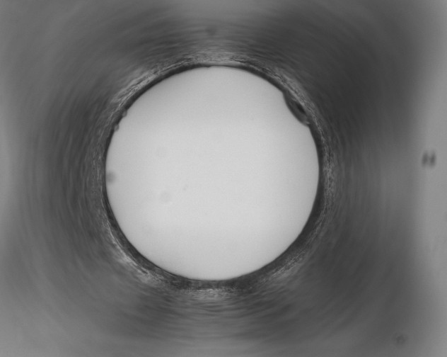 X0000115720433200912031554
