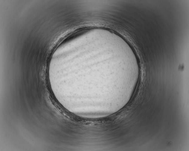 X0000115720434200912031554