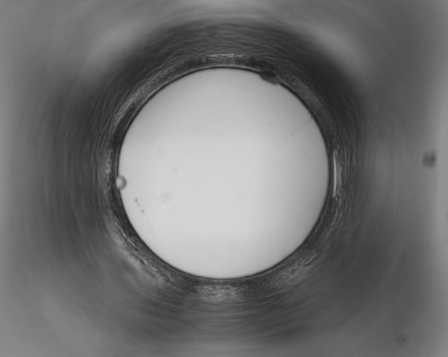 X0000115720435200912031554