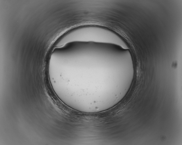 X0000115720436200912031554