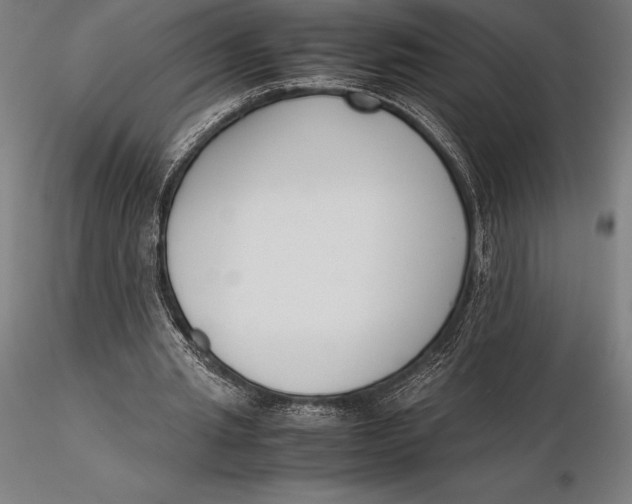 X0000115720437200912031554