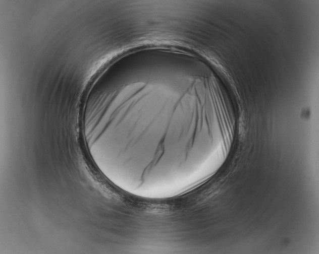 X0000115720438200912031554