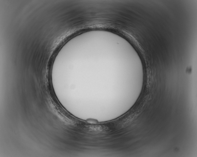 X0000115720439200912031554