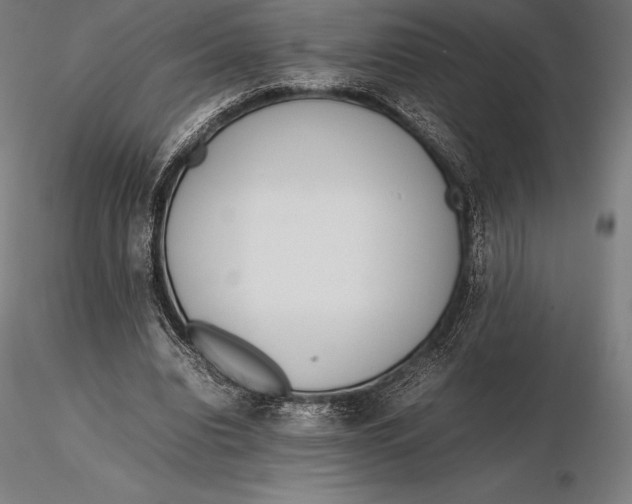 X0000115720440200912031554