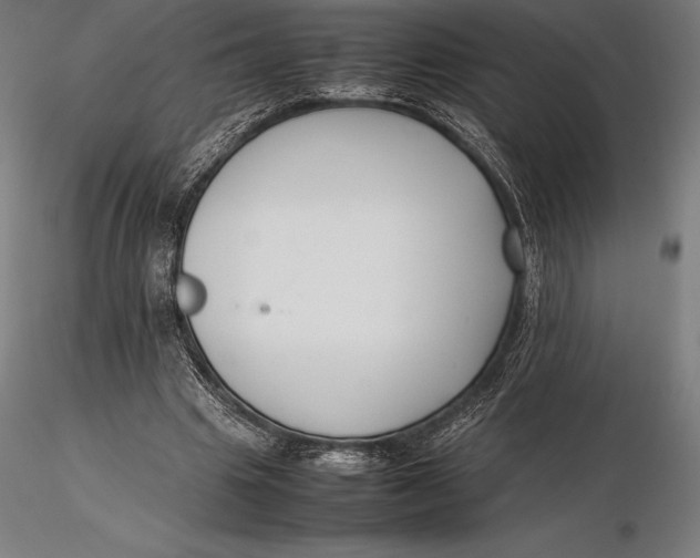 X0000115720441200912031554