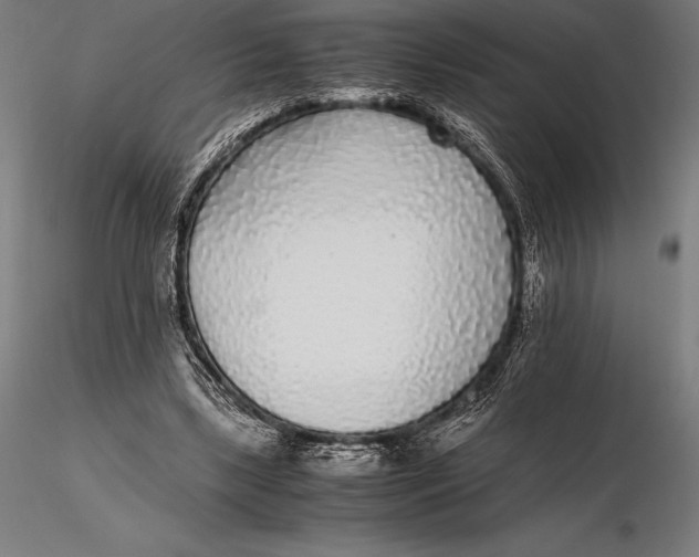 X0000115720443200912031554